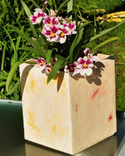 Les cache-pots pour orchidées